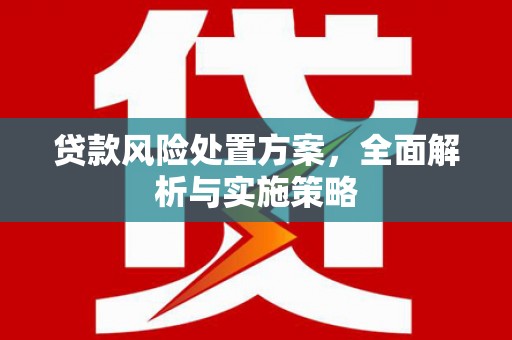 嘉禾贷款风险处置方案，全面解析与实施策略