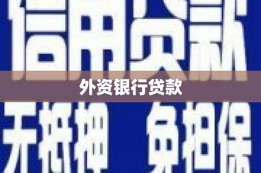 嘉禾外资银行贷款