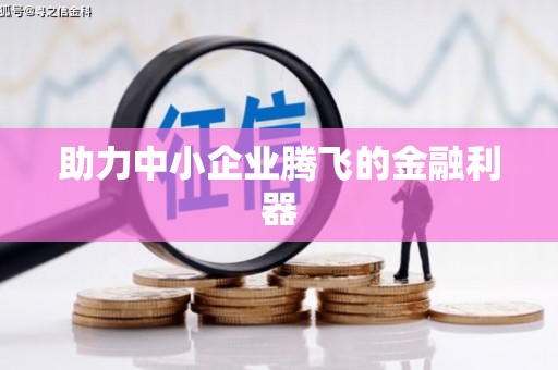 嘉禾助力中小企业腾飞的金融利器