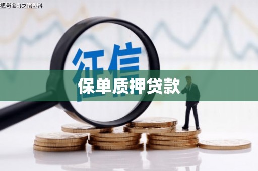 嘉禾保单质押贷款