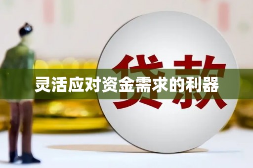 嘉禾灵活应对资金需求的利器