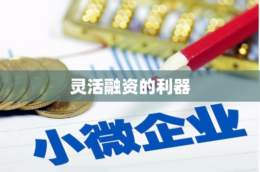 嘉禾灵活融资的利器