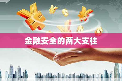 嘉禾金融安全的两大支柱