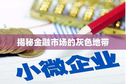 嘉禾揭秘金融市场的灰色地带