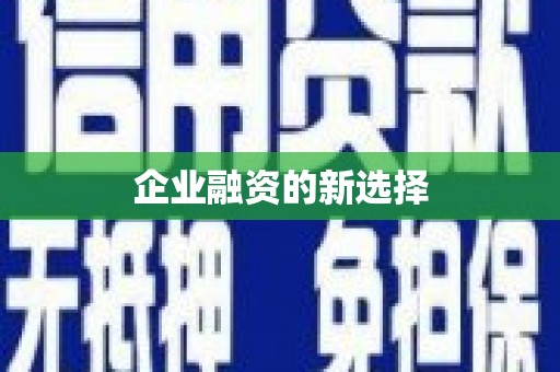 嘉禾企业融资的新选择