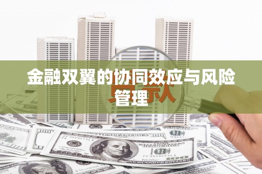 嘉禾金融双翼的协同效应与风险管理