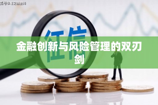 嘉禾金融创新与风险管理的双刃剑