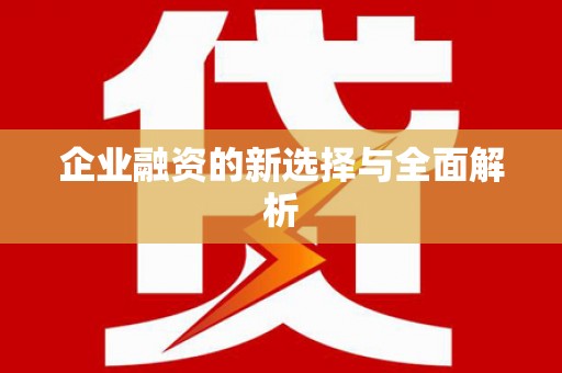 嘉禾企业融资的新选择与全面解析