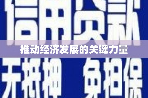 嘉禾推动经济发展的关键力量