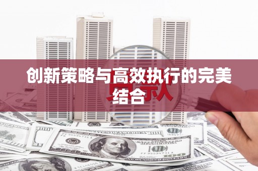 嘉禾创新策略与高效执行的完美结合