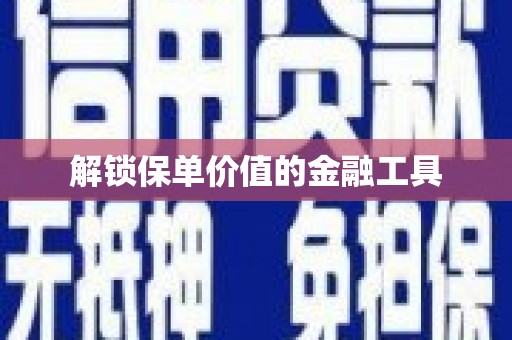 嘉禾解锁保单价值的金融工具