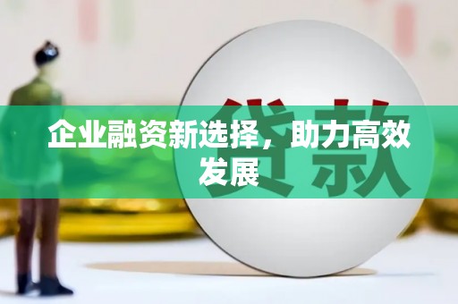 嘉禾企业融资新选择，助力高效发展