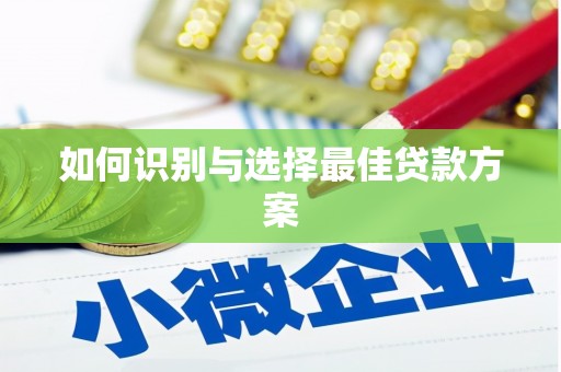 嘉禾如何识别与选择最佳贷款方案
