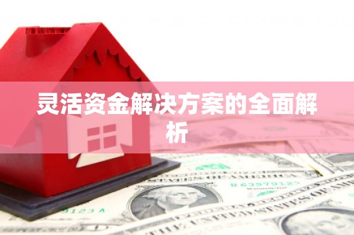 嘉禾灵活资金解决方案的全面解析