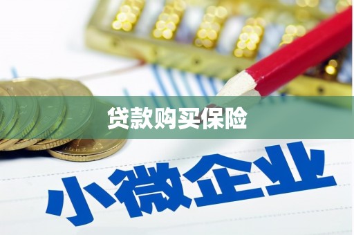嘉禾贷款购买保险