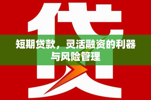 嘉禾短期贷款，灵活融资的利器与风险管理