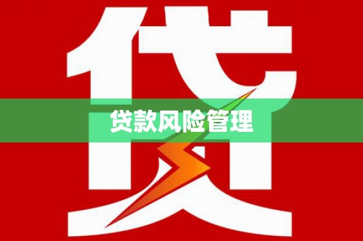 嘉禾贷款风险管理