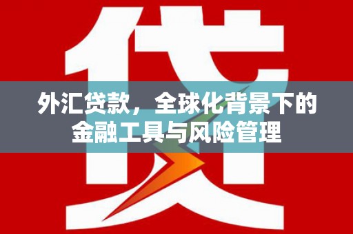 嘉禾外汇贷款，全球化背景下的金融工具与风险管理