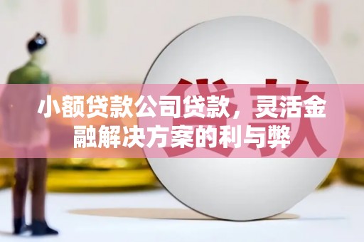 嘉禾小额贷款公司贷款，灵活金融解决方案的利与弊