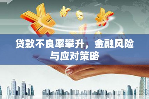 嘉禾贷款不良率攀升，金融风险与应对策略