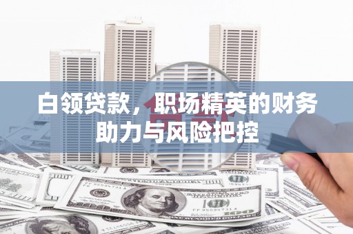 嘉禾白领贷款，职场精英的财务助力与风险把控
