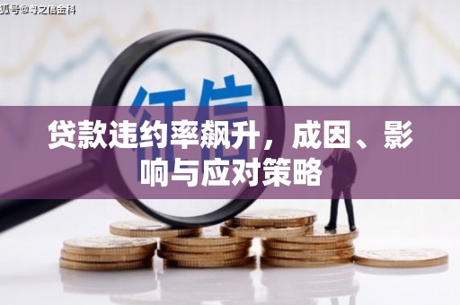嘉禾贷款违约率飙升，成因、影响与应对策略